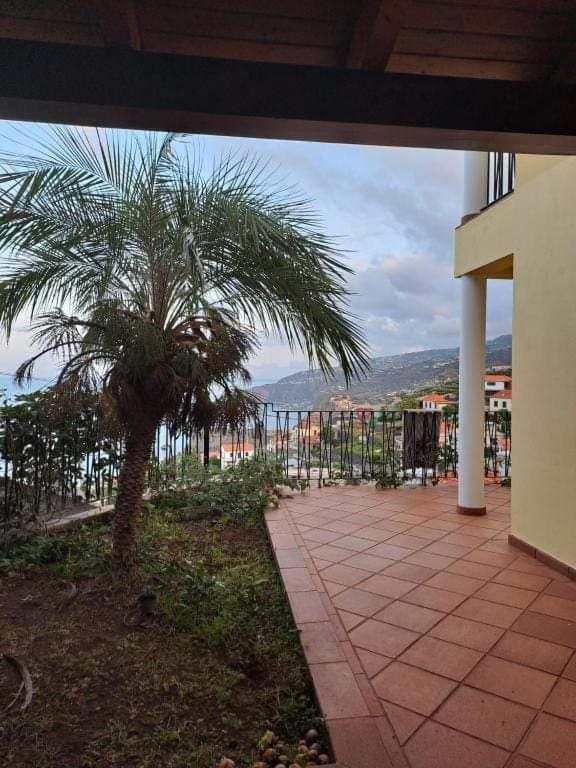 Sea View House Διαμέρισμα Ribeira Brava Εξωτερικό φωτογραφία